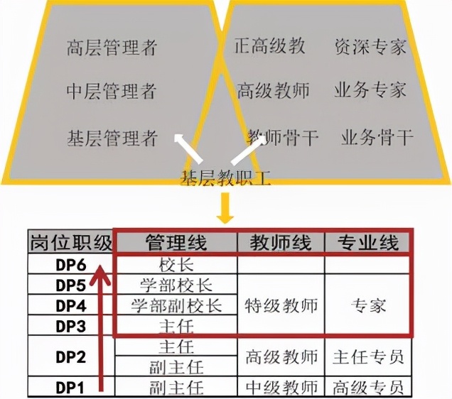 运营管理的“N次方”，国际化学校如何不断成为“后浪”？