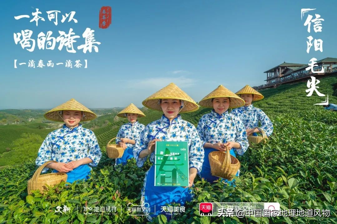 中国茶叶分布图,中国茶区详细分布图