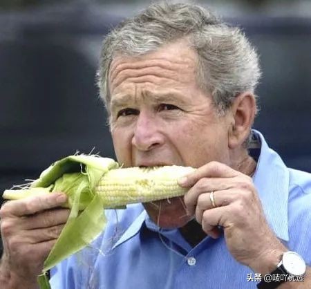 爆浆奶香水果玉米,水果玉米可以直接生吃吗