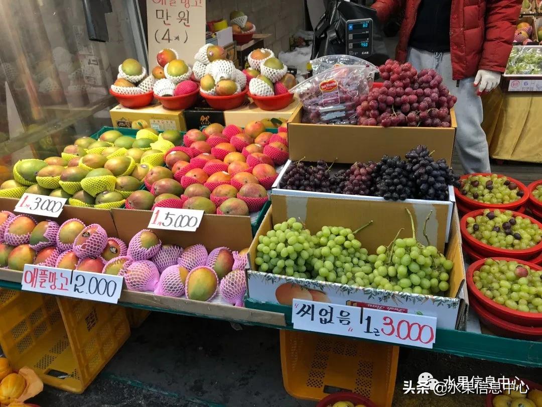 韩国水果批发市场进货渠道,韩国首尔最大的水果批发市场