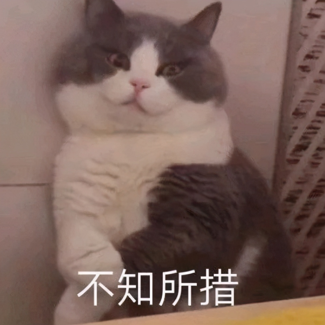 嘴皮破了长不好什么原因,嘴皮裂口一直没好