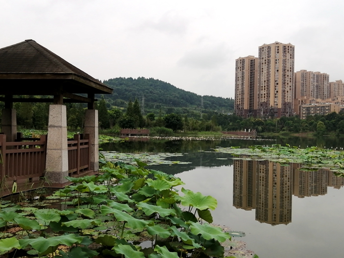 在四川三天去哪里好玩,在四川的旅行