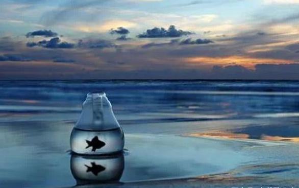 叔本华说人生感悟经典语录,叔本华洞悉世事的本质完整版