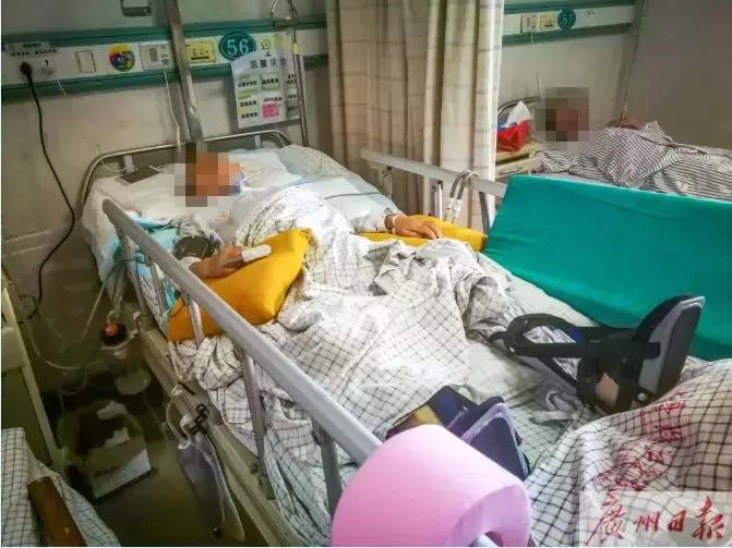 女子被“高空坠狗”砸致一级伤残，无奈狗主人找不到