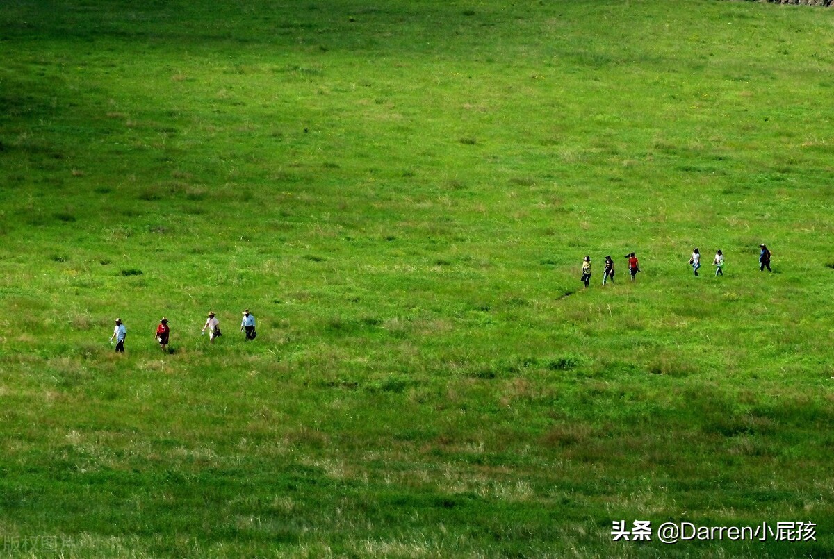 婴儿羊奶粉和宠物羊奶粉的区别,伊利羊奶粉和御宝羊奶粉哪个好