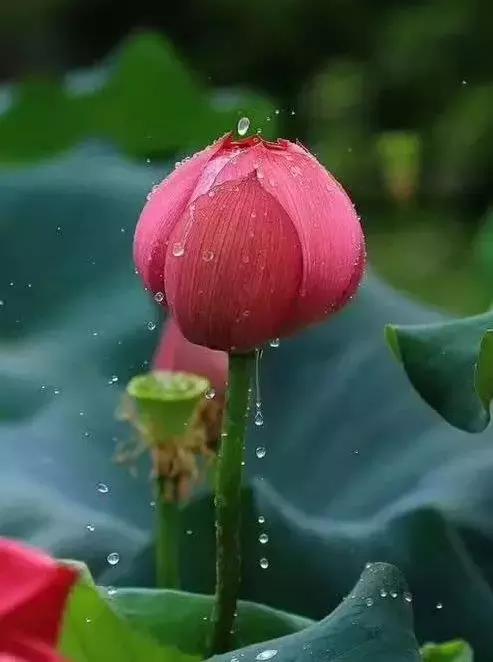 小楼周刊,2021小楼周刊