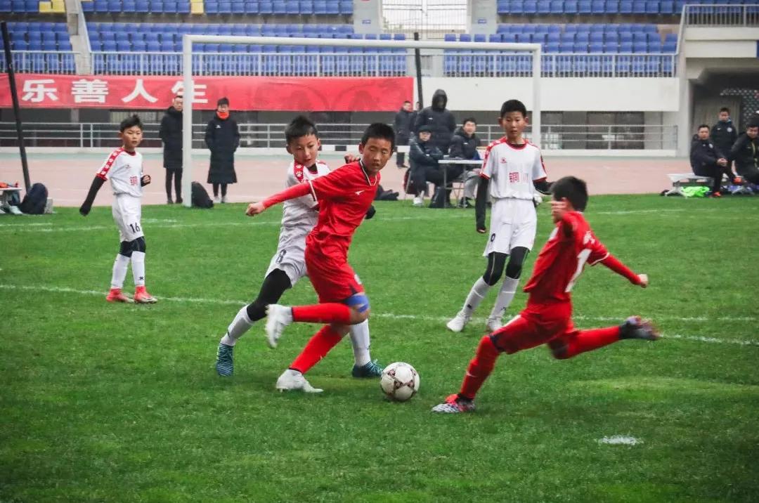 球迷看亚洲杯决赛,亚洲杯陕西球迷