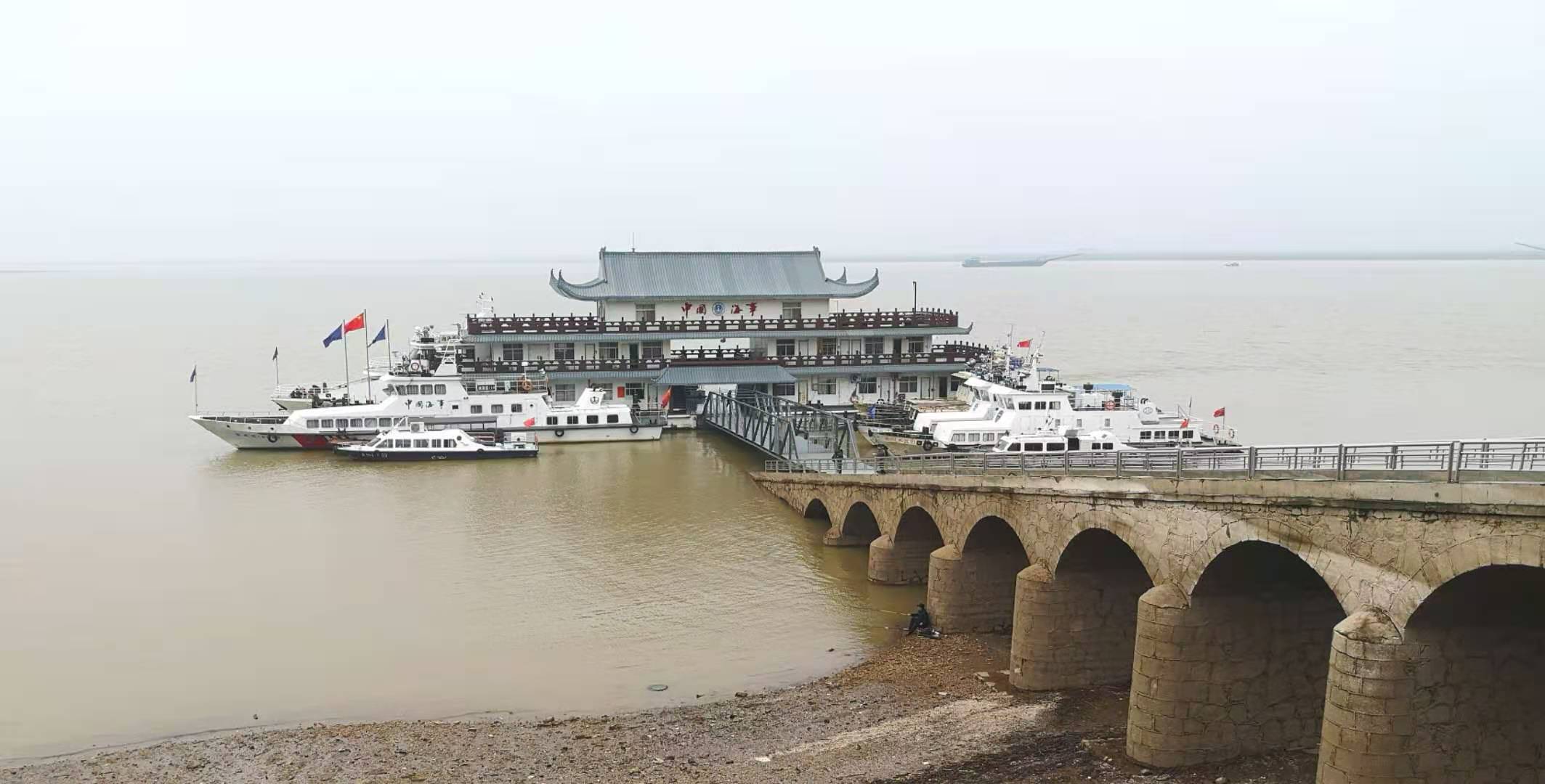 只有丹心似旧时——2020全球候鸟跟踪守护行动纪实（之十二）