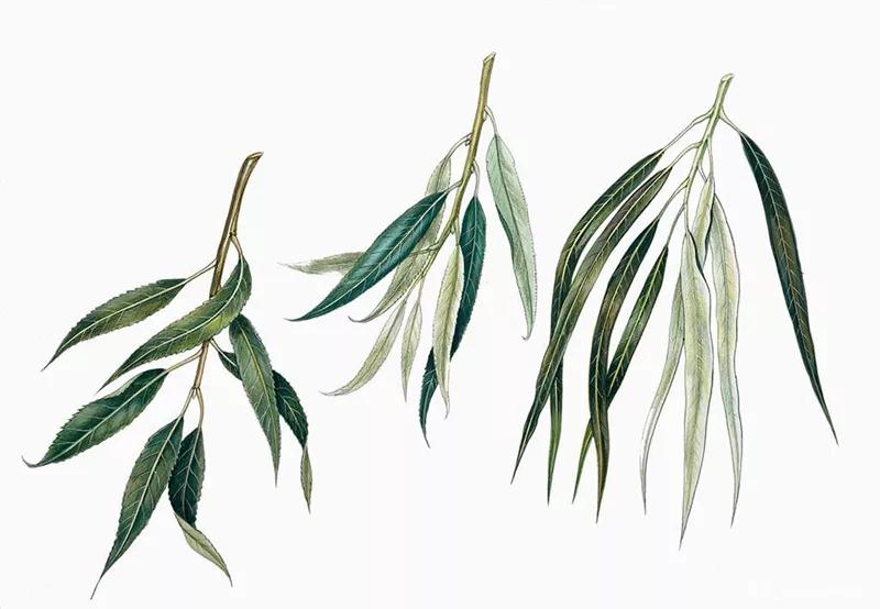 过敏原检测帮你找出过敏真凶,过敏原检测能查出29种过敏源