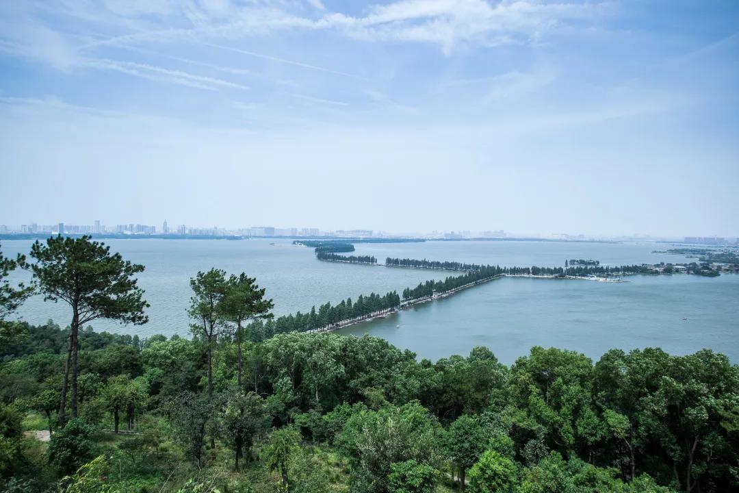 到公园去享受阳光享受生活,从公园到公园