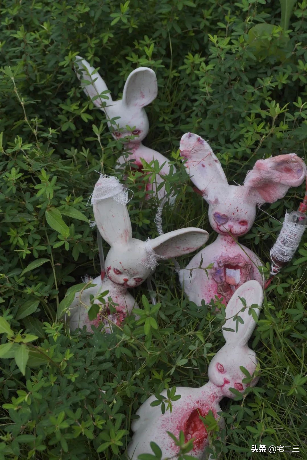 景德镇为什么吸引着年轻的艺术家,景德镇留住年轻人