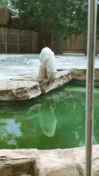 搞笑GIF开心一刻:这才是真正的踢足球,不赢都没道理