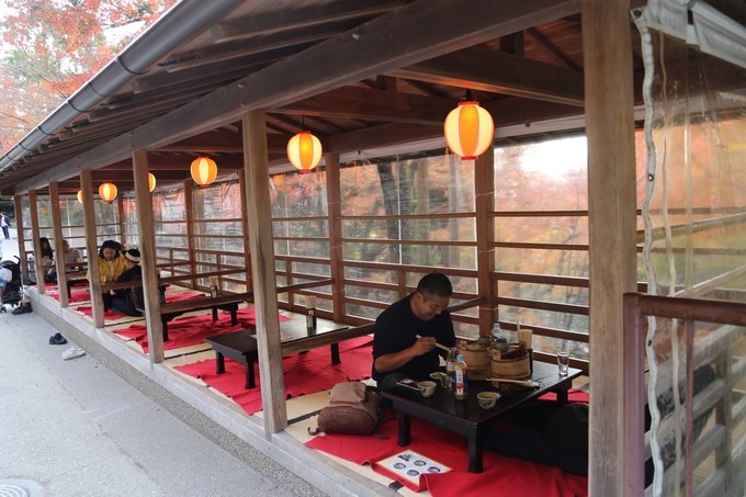 日本京都枫叶季旅游攻略,日本关西赏枫旅游攻略