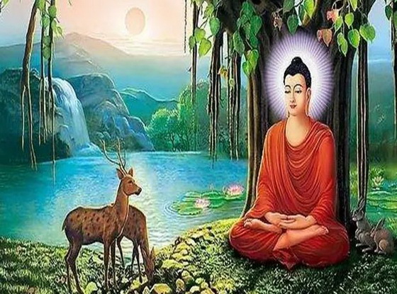 印度有原生的黄种人吗,印度为啥有黄种人