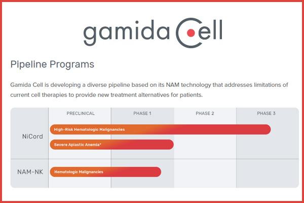 2013年癌症最新研究进展汇集,2019癌症研究治疗成果
