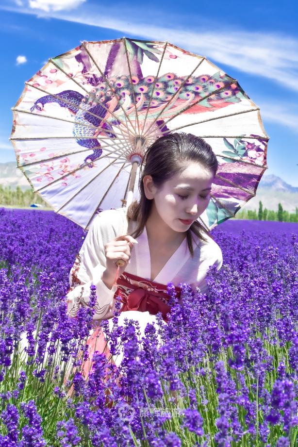 旅行中的故事讲述,旅行过程中的故事