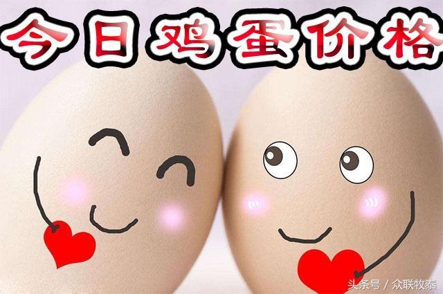 青岛鸡蛋协会今日鸡蛋价格表,今日鸡蛋价格青岛城阳的鸡蛋价格