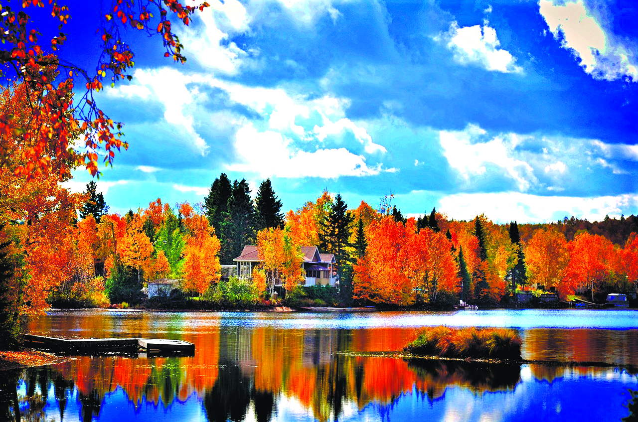 园林植物常见的几种配置方式,园林植物搭配技巧大全