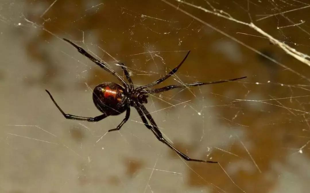 义务兵野外驻训需要带什么,野外训练兵哥哥都干什么