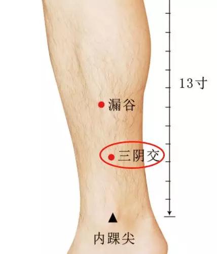 人老腿先衰是精气不足了吗,人老腿先衰诗词