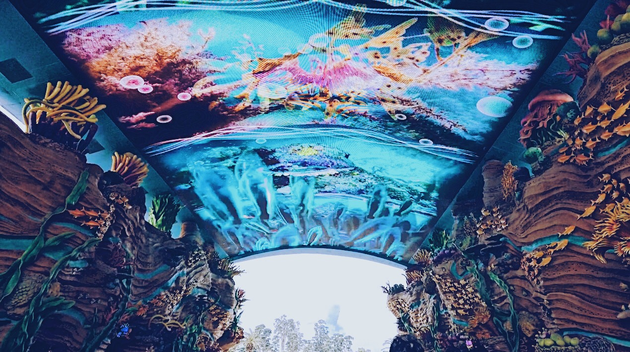 珠海长隆海洋王国吃住旅游攻略,最新珠海长隆海洋王国一日游攻略