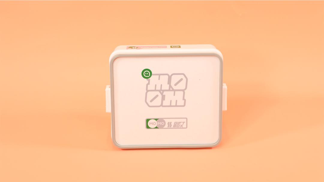 大厂的粽子礼盒长啥样,大厂粽子礼盒排行榜