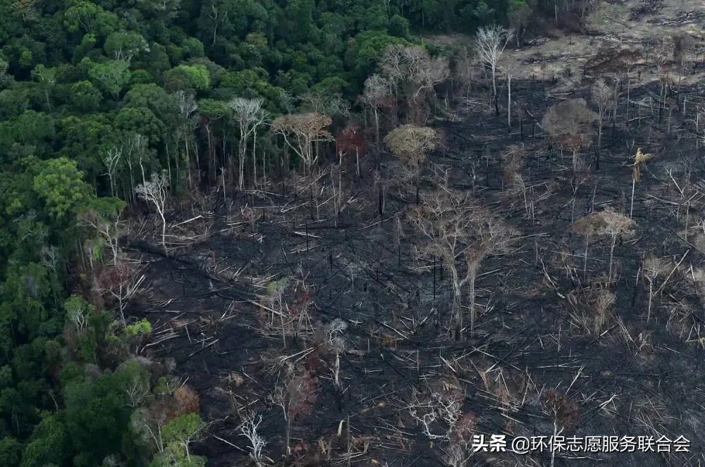 成都生态环保大讲堂|穿越于水陆之间的动物世界