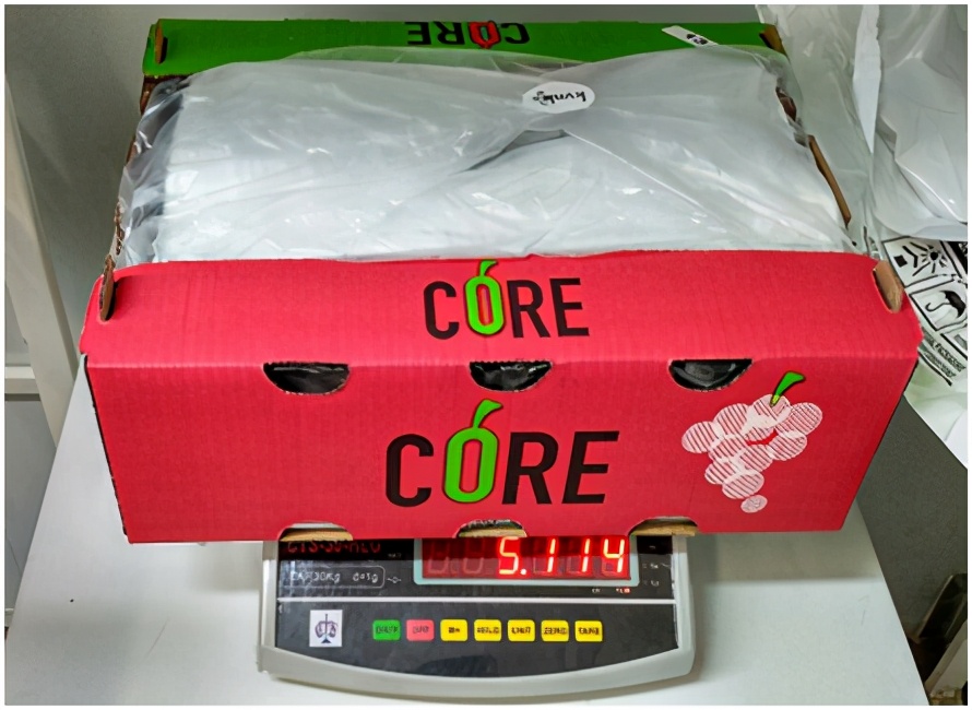 提子品种和介绍 (提子的品种都有哪些)