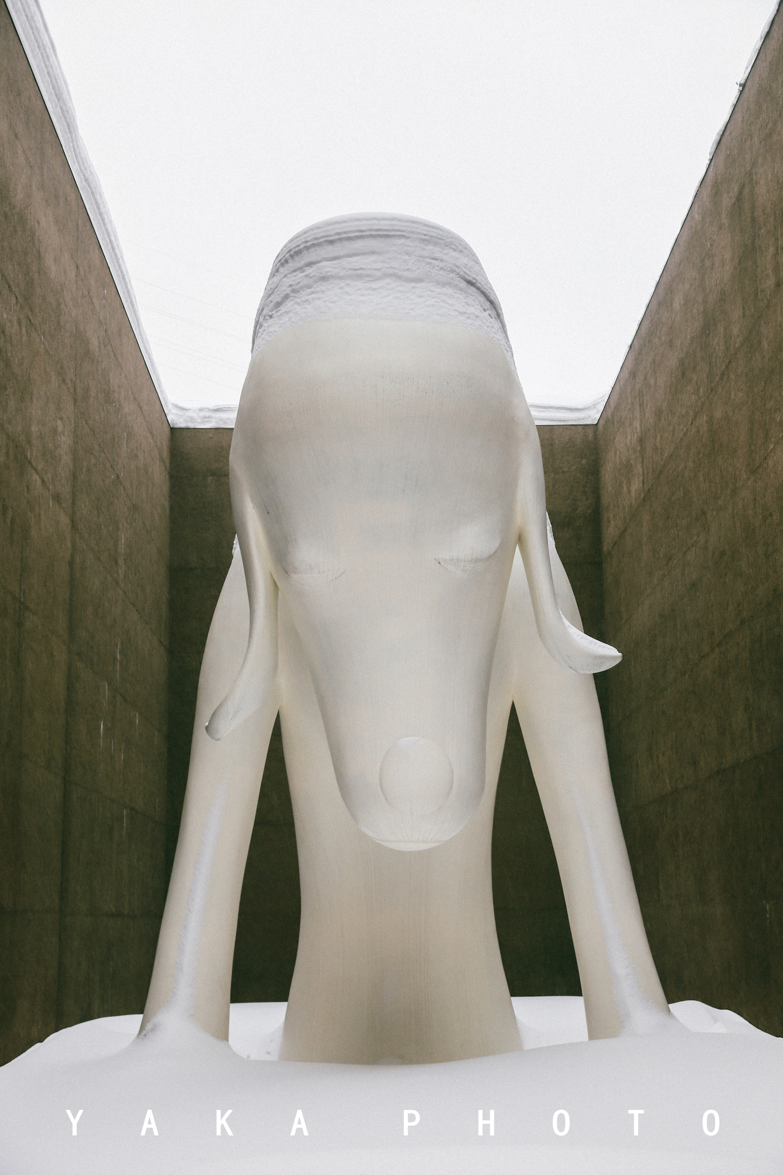 日本青森睡魔祭举办时间,日本的青森值得去么