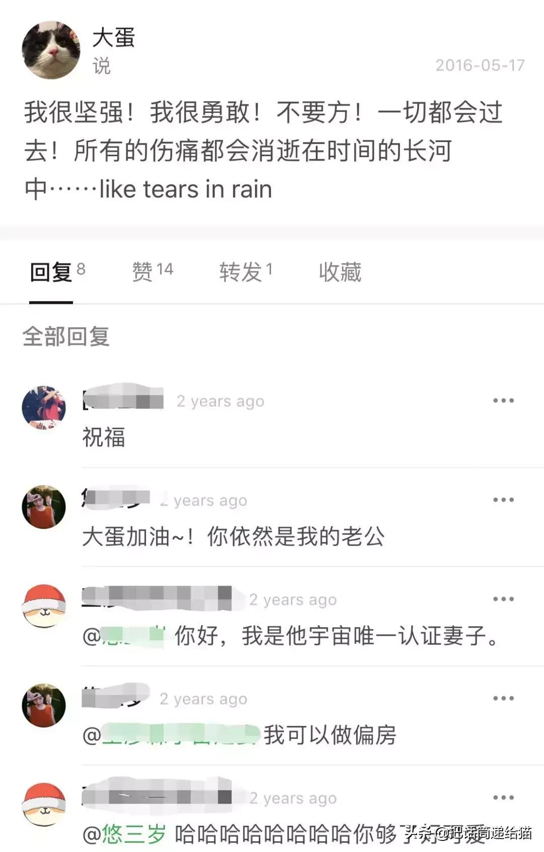 猫故事书籍,猫故事小说