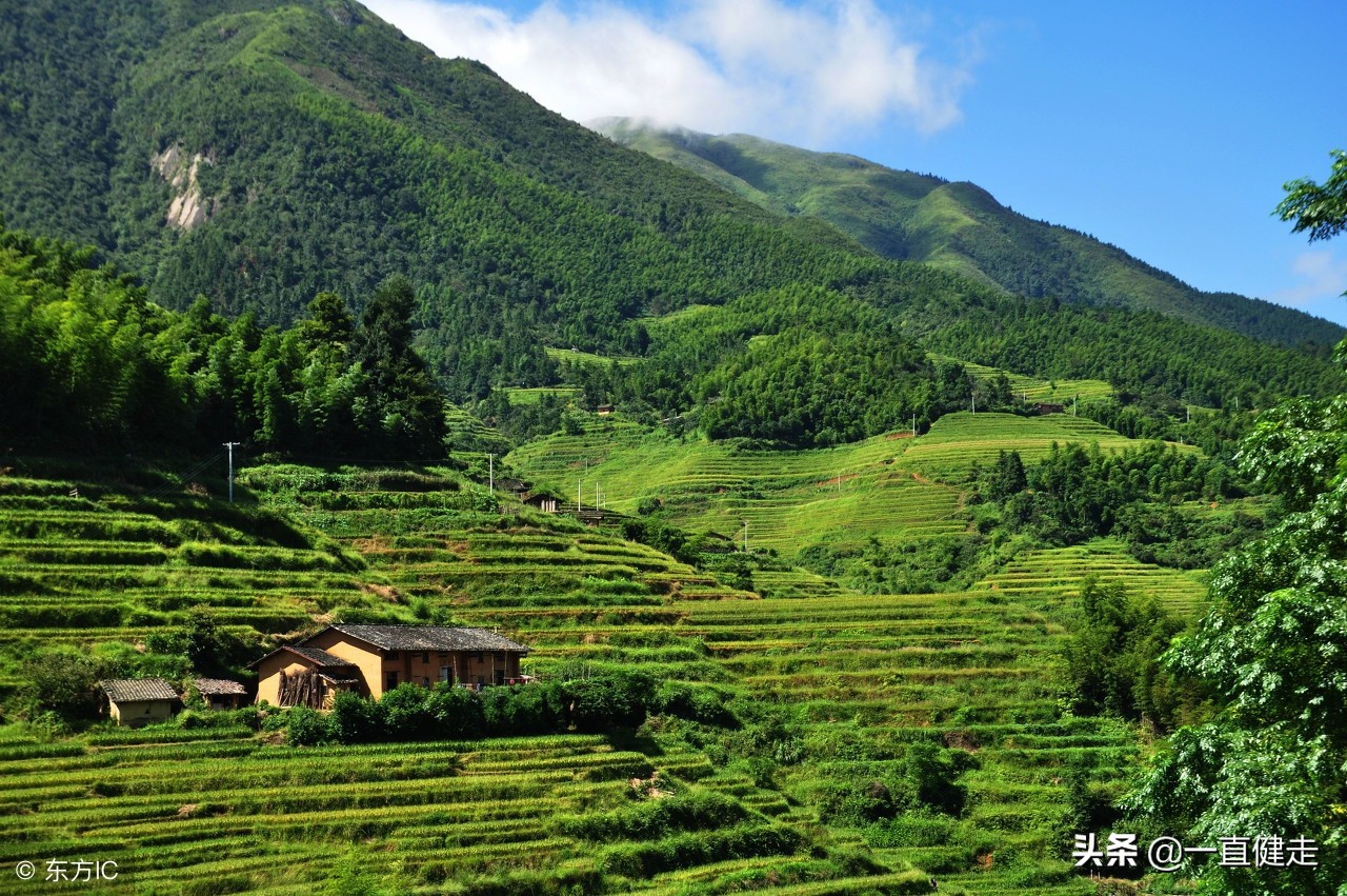 一目了然——《诗经》（256——265）