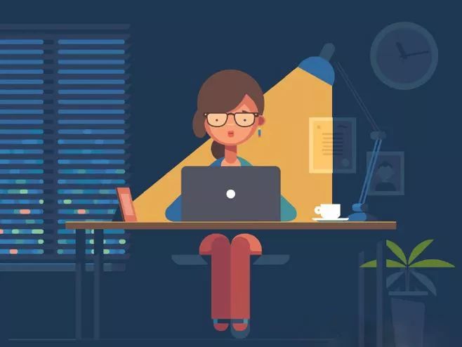 袖珍椰子最佳观赏期,阳台袖珍椰子