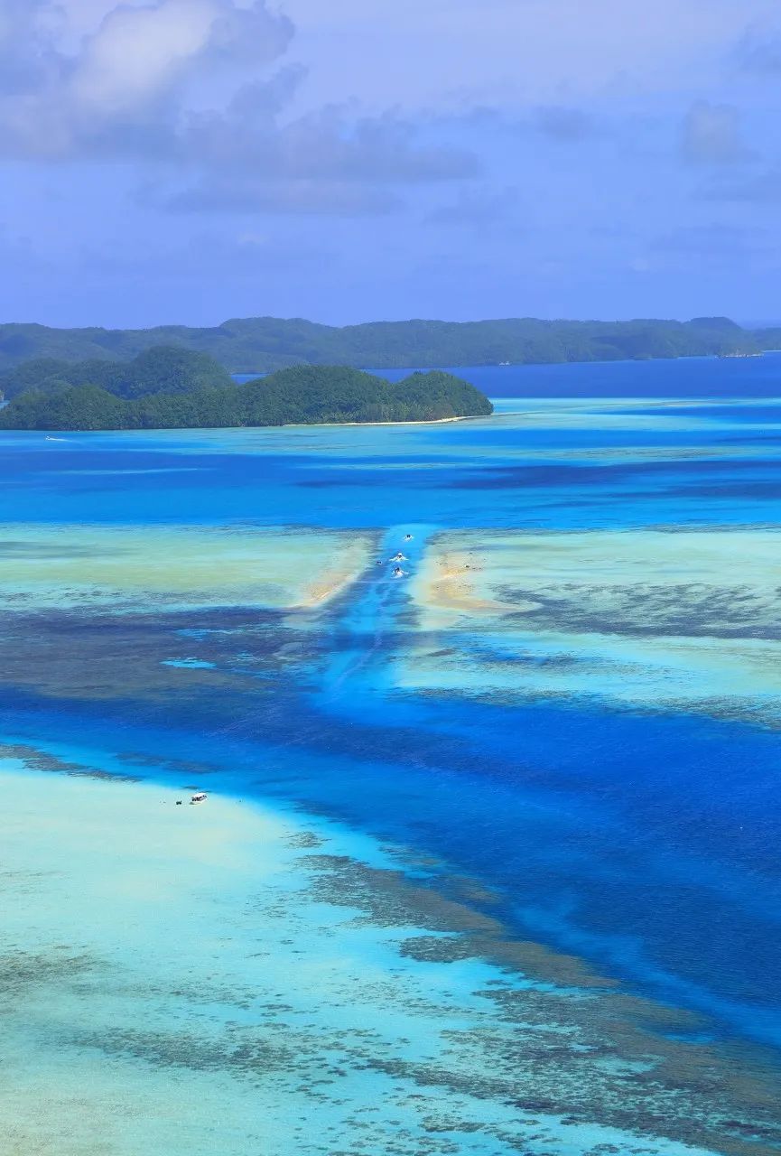 潜水圣地推荐帕劳,帕劳潜水旅游攻略