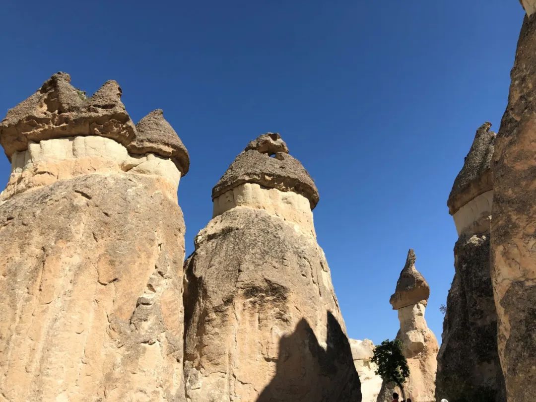 外星人有哪些卡欧斯形态,外星人的球星卡