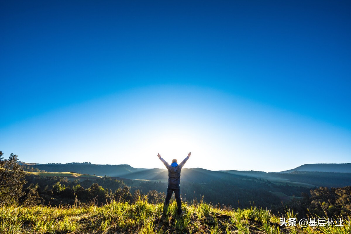 从区位极佳的百亩优质园地急寻有识之士加盟，谈投资农业的艰辛