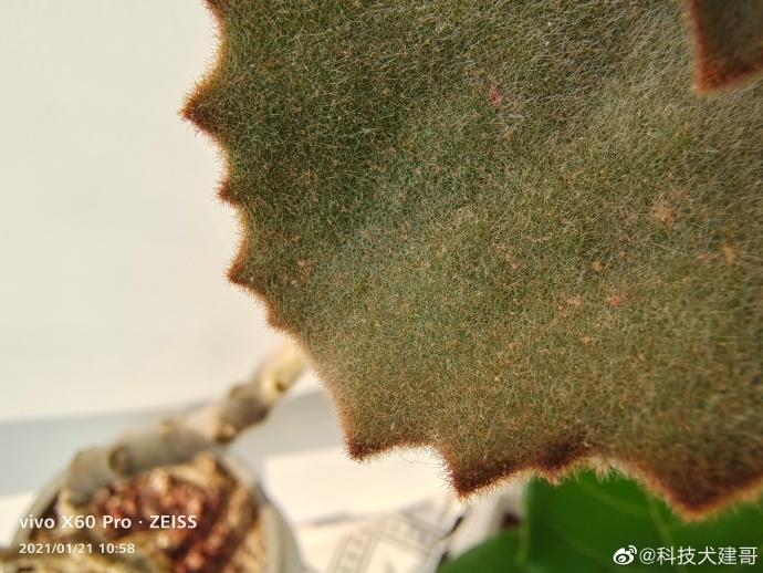 vivox70pro+和小米11ultra对比,小米11拍照多少倍变焦