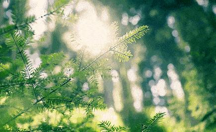 气血不足靠什么来治,气血不足怎么这么难调理