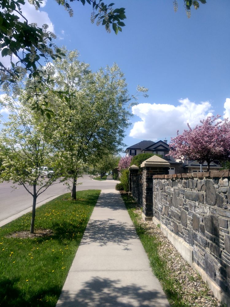 海外见闻原创视频,海外留学见闻