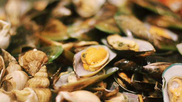 茂名浪漫海岸旅游度假区攻略,茂名浪漫海岸旅游度假区视频