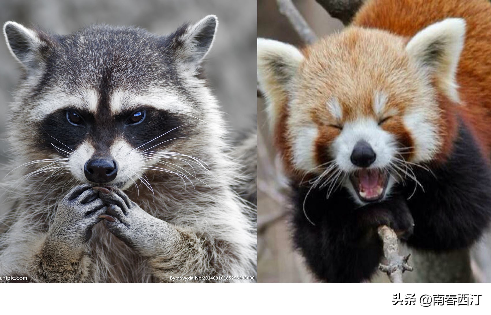 涓浗缃戞皯缇庡浗缃戞皯,涓浗缃戞皯缇庡浗