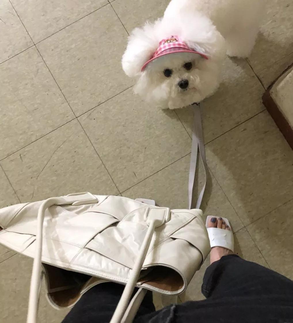 ins上有名的韩国独居博主,38岁独居全职博主