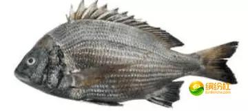 舟山海鲜代加工攻略,最全舟山海鲜攻略