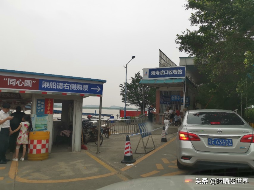 江心孤岛车不上锁,田园牧歌桑基鱼塘,环岛漫游处处花海