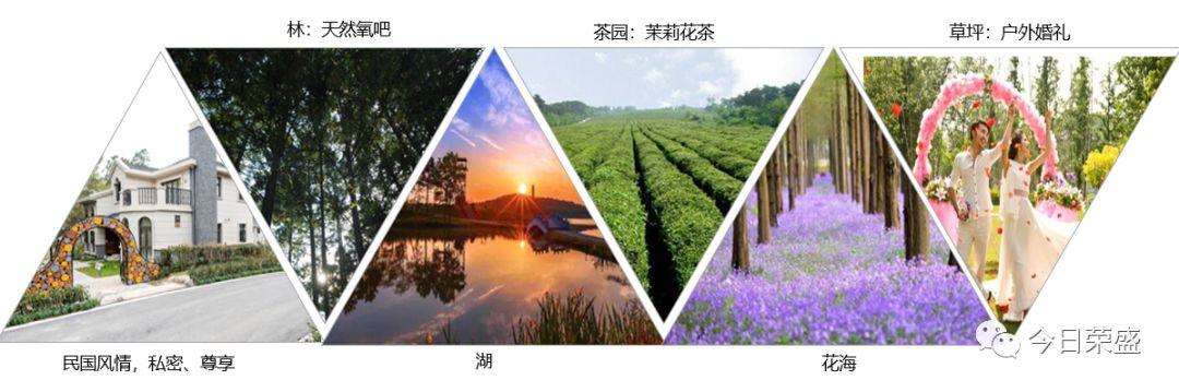 荣盛足迹酒店特刊厚积十一载盛行正当时