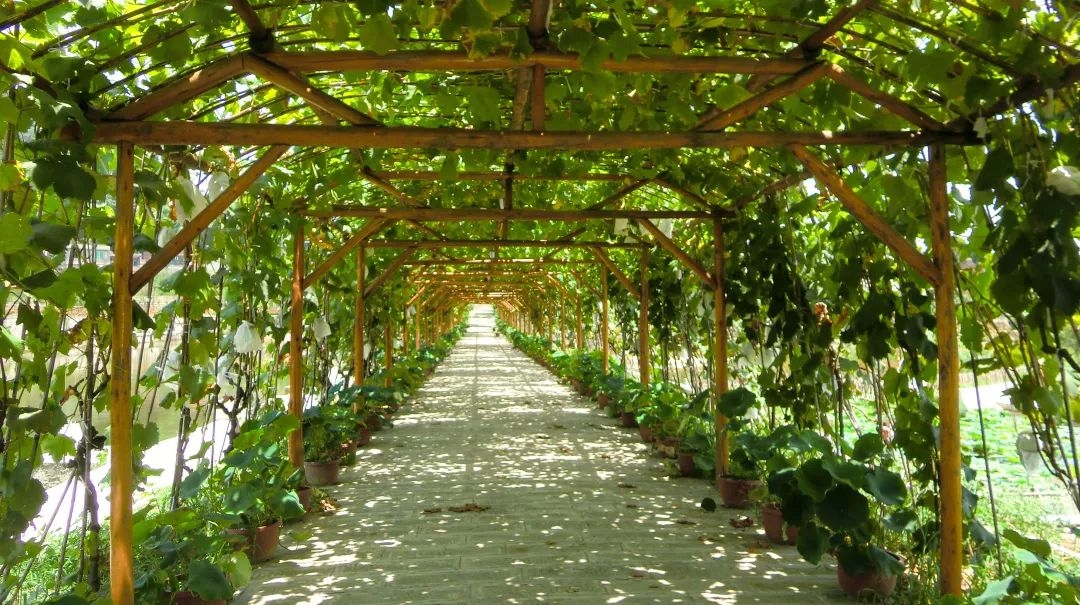 农家乐重庆附近推荐,重庆周末农家乐