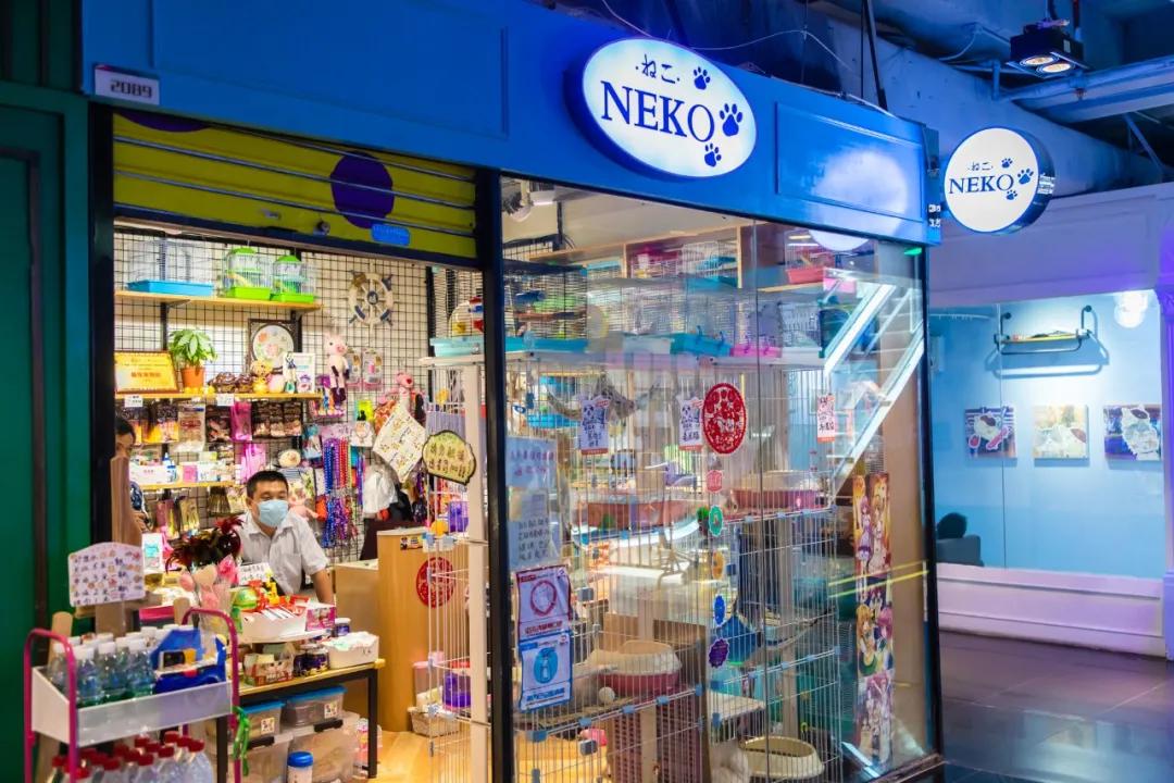 七八年没逛一个地方,江门地王广场动漫星城