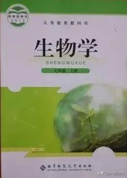在游戏里正儿八经的GYS是种什么体验？