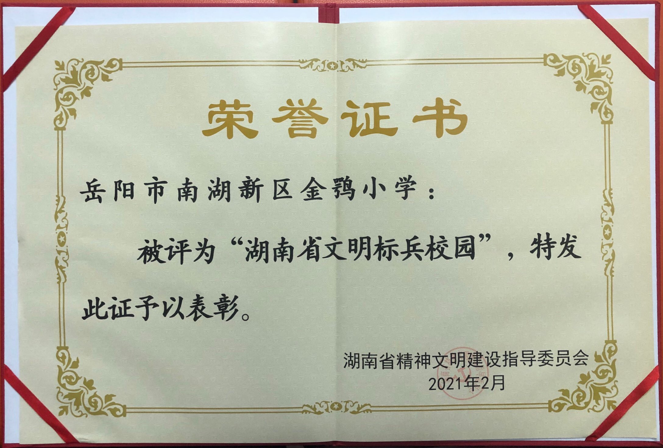 岳阳市金鹗小学风采展示,岳阳市金鹗小学99届