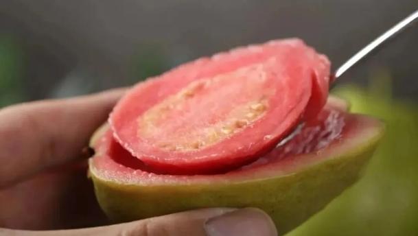 新鲜芭乐吃起来什么口感,软糯香甜的芭乐你吃过吗