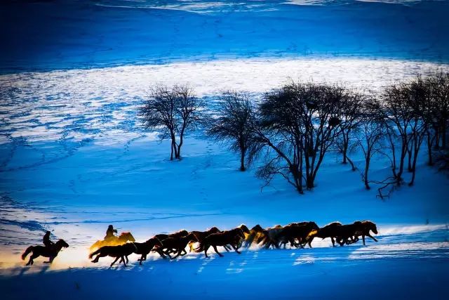 坝上风情坝上人,坝上哪最适合露营